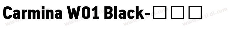 Carmina W01 Black字体转换